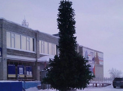 Уникальную елку в Ноябрьске сделали традиционной