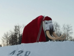 На мамонта в Салехарде надели шубу деда Мороза