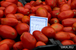 Открытие овощной ярмарки Курган, помидоры, овощная ярмарка, ценник