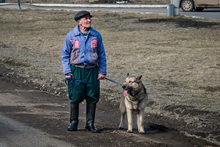 Клипарт. Пермь, пенсионер, собака, старик, домашние любимцы, домашнее животное