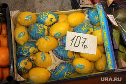 Рейд по оптовой продуктовой базе Курган, лимоны
