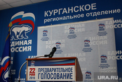 Дебаты Единая Россия
Курган, предварительное голосование, единая россия
