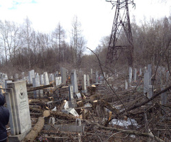 Спиленные деревья порушили могилы