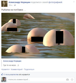 Депутат Заксобрания Александр Норицин опубликовал на своей странице в Facebook (деятельность запрещена в РФ) фото с женскими гениталиями.