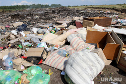 Вырубка леса КГСХА Курганская область, свалка мусора