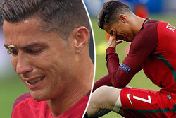 Мотылек предсказал плачущему Роналду победу сборной Португалии