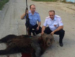 Фото правоохранителей с убитым медведем появилось в соцсетях