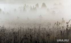 Клипарт. Челябинская область, пейзаж, утро, осень, туман