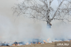 Лесные пожары. Учения МЧС. Челябинск, лесной пожар
