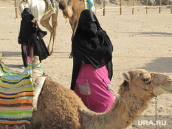 Египет, отдых туристов, хиджаб, верблюд, пустыня, шахидка