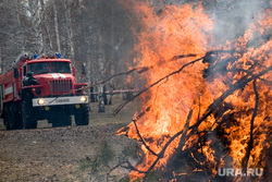 Пресс-конференция МЧС
Курган, пожар, огонь, лес горит