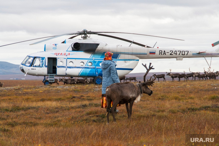 Ямальский избирком разыскивает оленеводов в тундре. ФОТО
