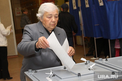 Единый день голосования 2014. Курган