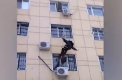 Женщина выпала из окна в Тюмени