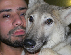 Феликс Булатов уверяет: причин водить волка в наморднике нет