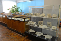 Экспонаты из Красноуфимска можно будет увидеть в геологическом музее