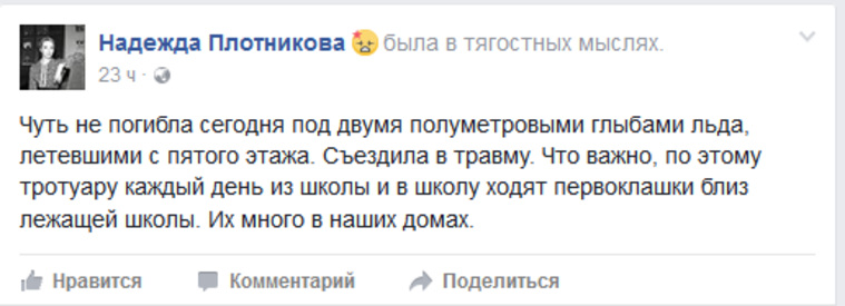 Надежда Плотникова написала о происшествии на своей странице
