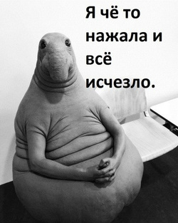 Типичный бухгалтер глазами системного администратора