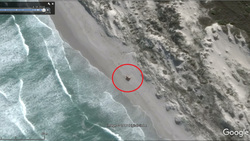 Странный предмет обнаружен на побережье неподалеку от Кейптауна