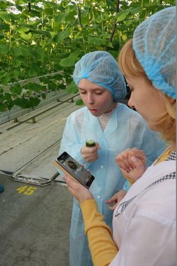 Сотрудники УГМК творчески подошли к проверке качества первого урожая