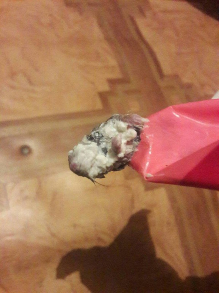 Крысу обнаружили в пакете с молоком