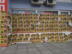 Реклама с Шурыгиной появилась на стенах и окнах магазинов в Тюмени