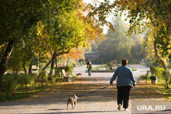 Осенний Екатеринбург, парк, прогулка с собакой, осень