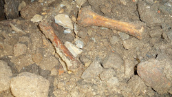 Останки найдены во время прокладки кабеля у площади 1905 года