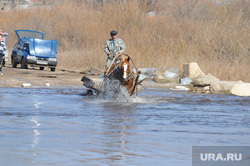 Паводок. Челябинская область, лошадь, конная повозка, телега, паводок, наводнение