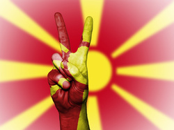 Недовольство активистов вызвало избрание на пост спикера этнического албанца