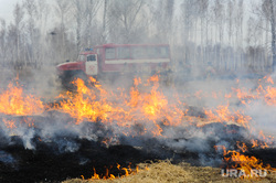 Екатеринбург в кольце пожаров: эвакуированы десятки жителей, полиция ищет детей
