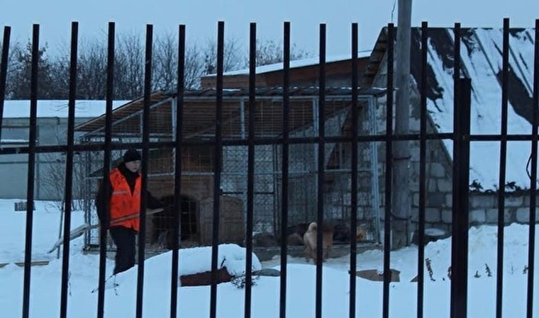 По мнению автора, на фото — осужденный, содержащийся в ИК-47, запечатлен работающим на даче полковника Карасева