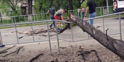 Тюменцы выразили респект ответственным парням