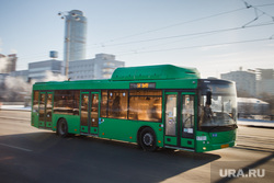 Общественный транспорт Екатеринбурга, автобус