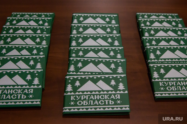Инвестиционное послание губернатора Курганской области Алексея Кокорина. Курган, курганская область, карта предпринимателя, бренд-бук области