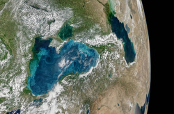 Черное море могло изменить свой цвет из-за нашествия фитопланктона