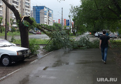 Количество пострадавших от урагана в Москве увеличилось до 22 человек