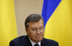 Открытая лицензия на 04.08.2015. сток, stock, янукович виктор, сток, stock