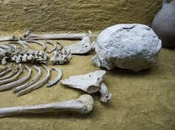 Погребение относится к атлымской культуре позднего бронзового века