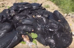Куча из 40 трупов найдена на дороге после цыганского табора