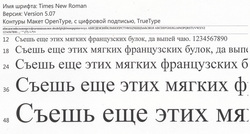 Созданный на Западе стандартный шрифт Time New Roman Cyr сохранится только для бумажного документооборота