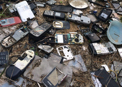 Десятки мобильных телефонов выброшены в лесу в районе просветской колонии
