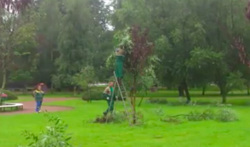 Работники ЖКХ хотели победить в конкурсе «Уютный сад - 2017»