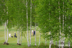 Консулы дипмиссий Екатеринбурга играют в гольф-клубе Pine Creek. Сысерть, летние виды спорта, гольф, хобби, природа урала, поле для гольфа, береза
