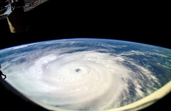 Модели мира обнажились в поддержку жертв урагана «Ирма». ФОТО