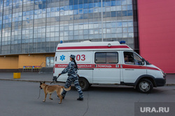 Резня на проспекте Ленина. Сургут, эвакуация, кинолог, сити молл