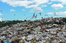 Репортаж по мусорным войнам из Миасса, васильевская свалка