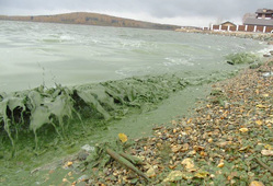 Черноисточинское водохранилище губят уже не в первый раз