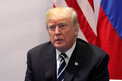 Саммит G20, трамп дональд, сток, stock
