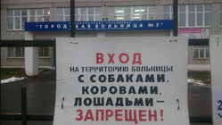 Врачи надеются избежать встречи с домашними животными пациентов